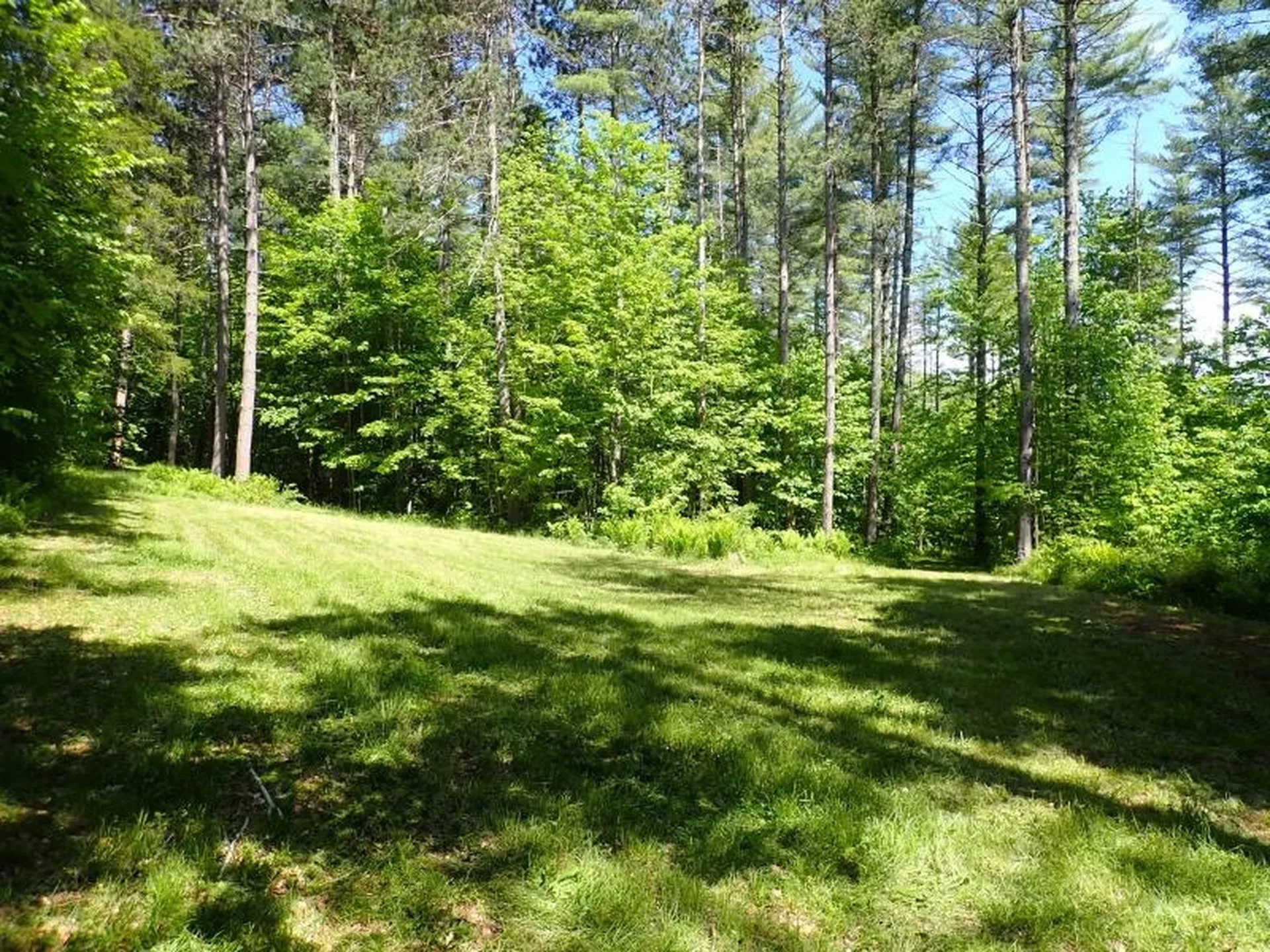 1913 Maple Hill Road Rochester VT 05060