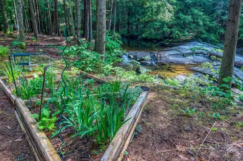 74 Hubbard Grove Shelburne NH 03581