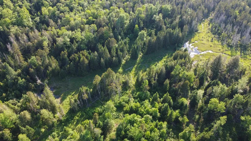 0 Five Mile Square Road Brighton VT 05846