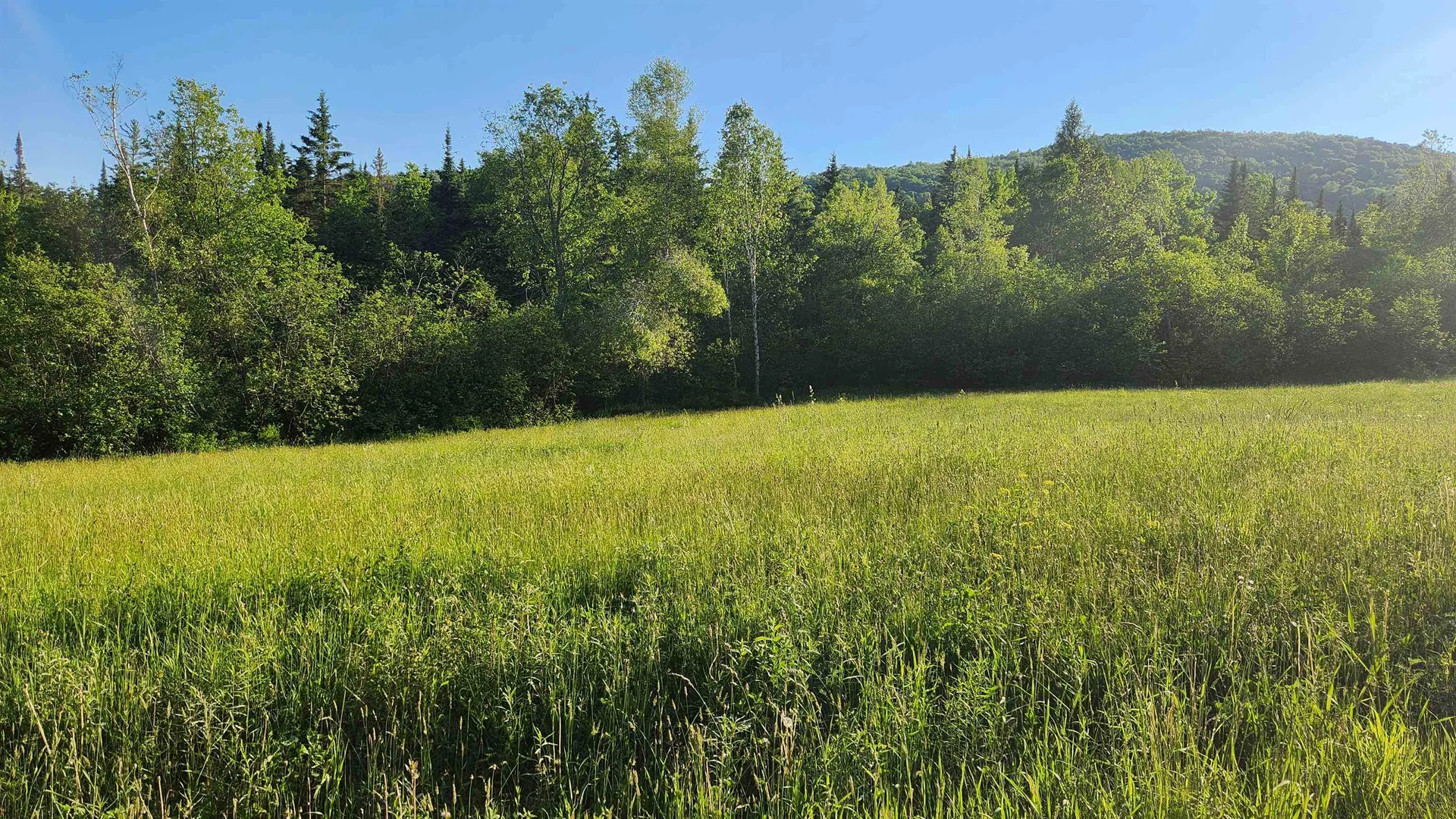 0 Five Mile Square Road Brighton VT 05846