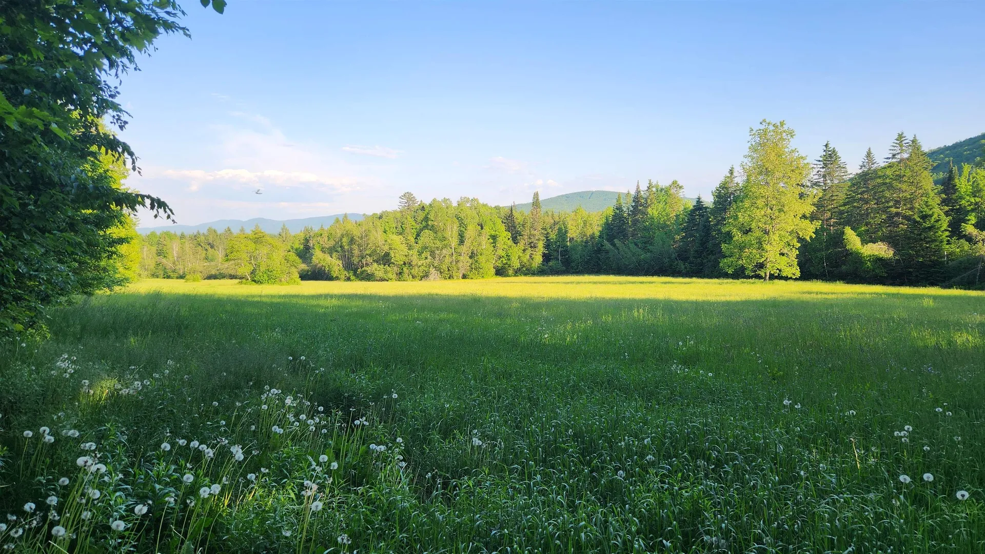 0 Five Mile Square Road Brighton VT 05846