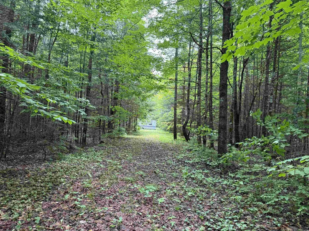 780 Dolloff Pond Road Sutton VT 05867