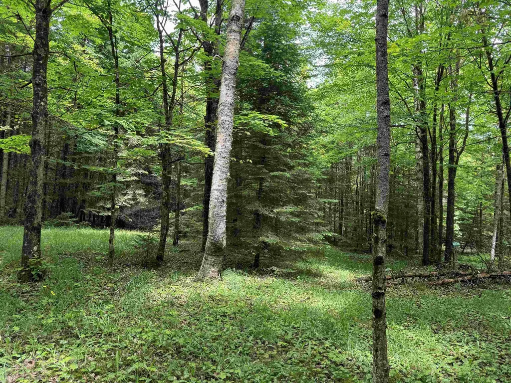 780 Dolloff Pond Road Sutton VT 05867