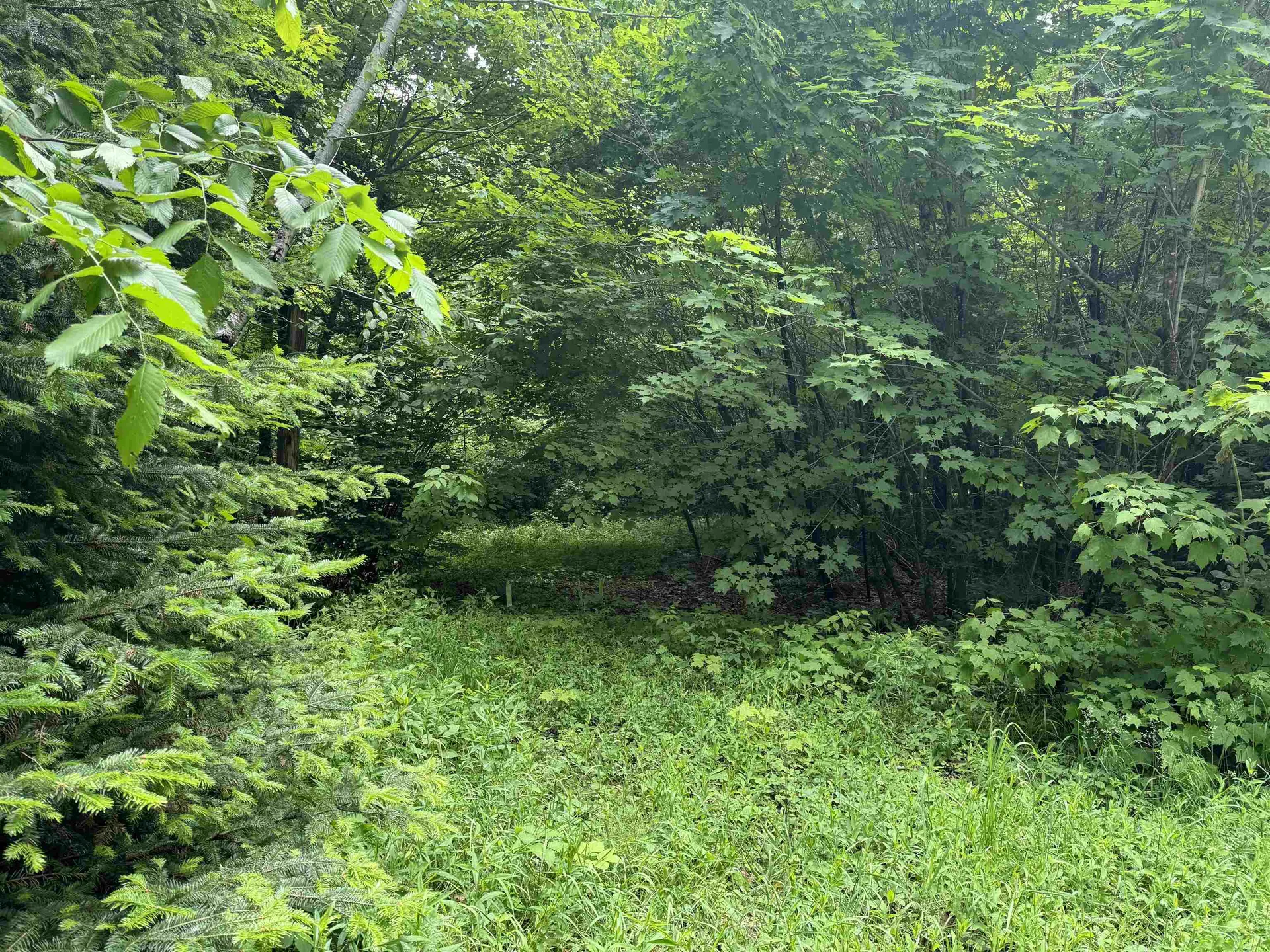 780 Dolloff Pond Road Sutton VT 05867