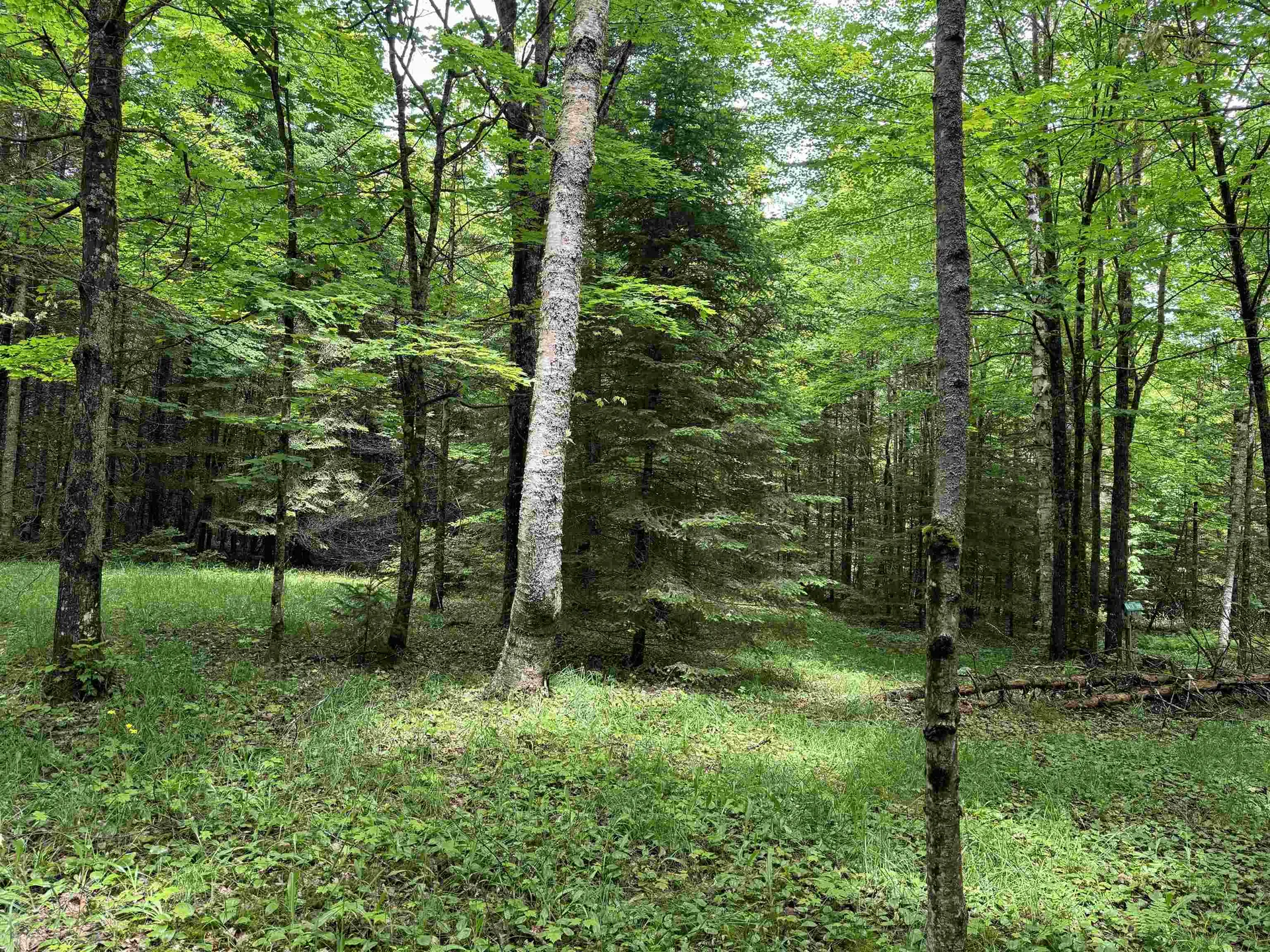 780 Dolloff Pond Road Sutton VT 05867