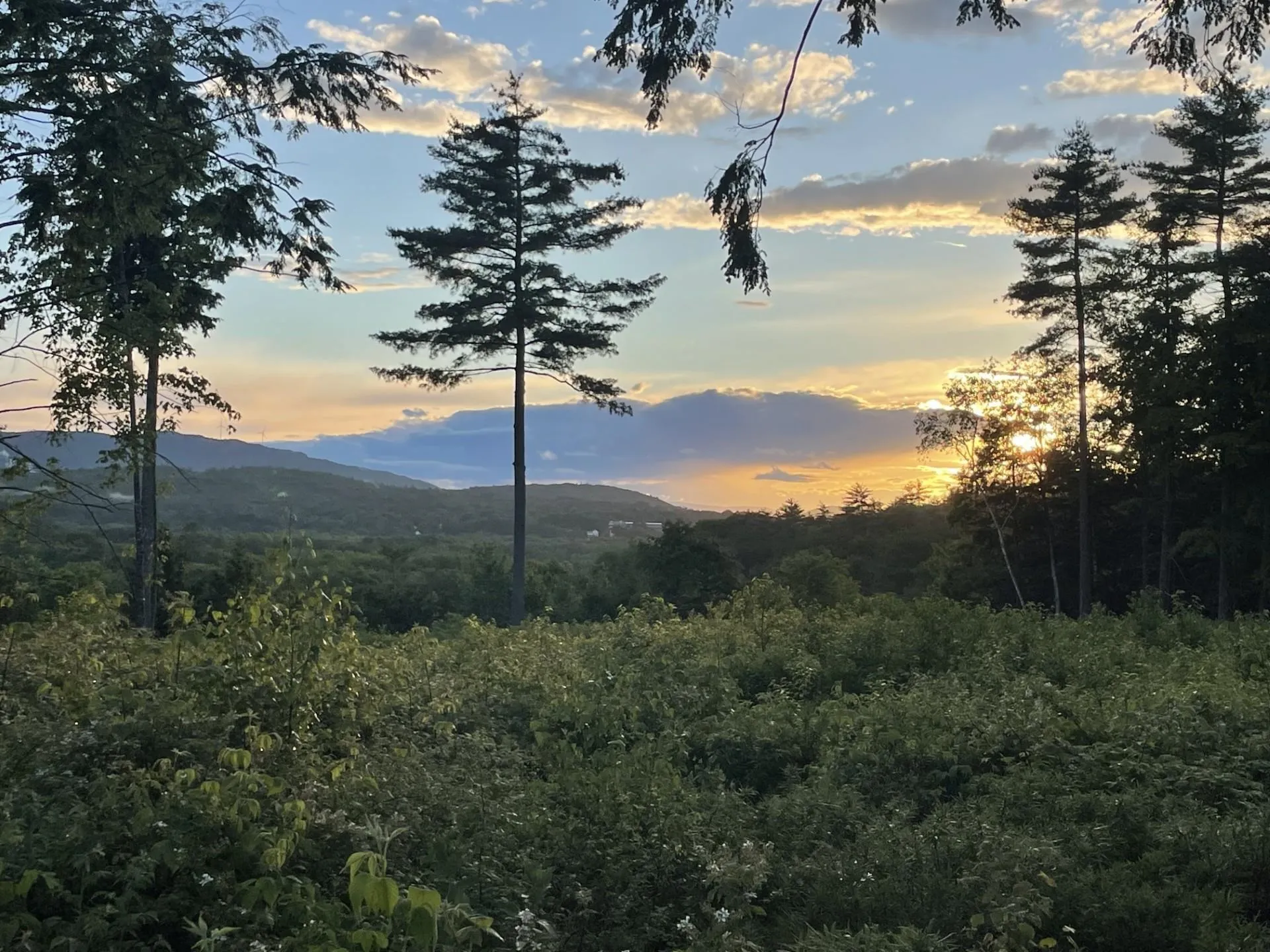 000 Pleasant Place Drive Holderness NH 03245