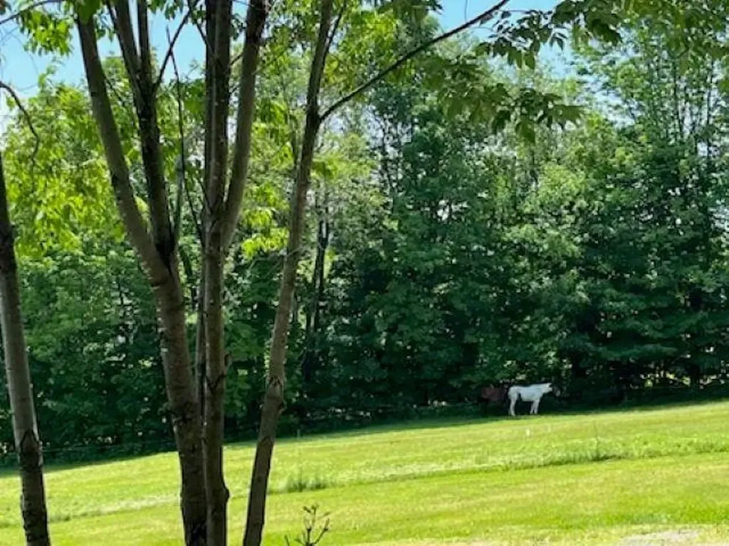 1179 South Hill Road Ludlow VT 05149