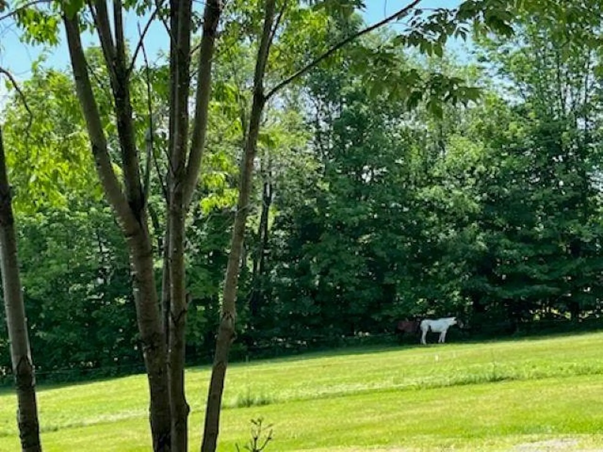 1179 South Hill Road Ludlow VT 05149