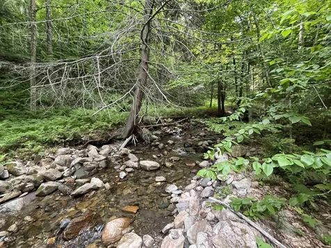 1291 Potash Brook Road Chester VT 05143