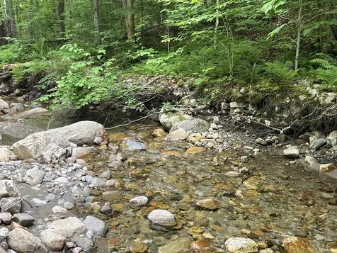 1291 Potash Brook Road Chester VT 05143