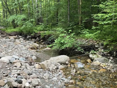 1291 Potash Brook Road Chester VT 05143