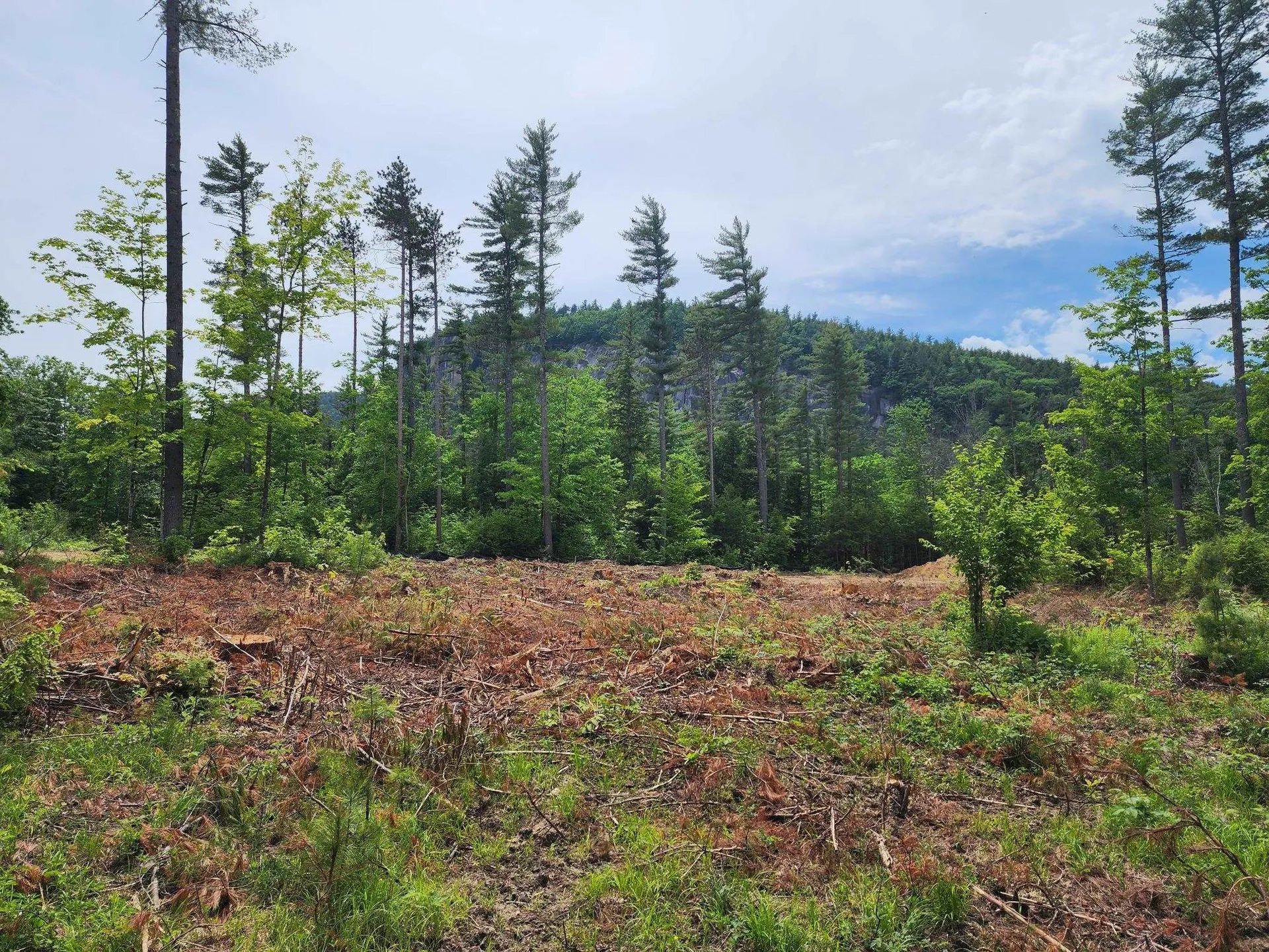 5 Lucy Brook Road Conway NH 03860