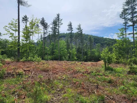 5 Lucy Brook Road Conway NH 03860