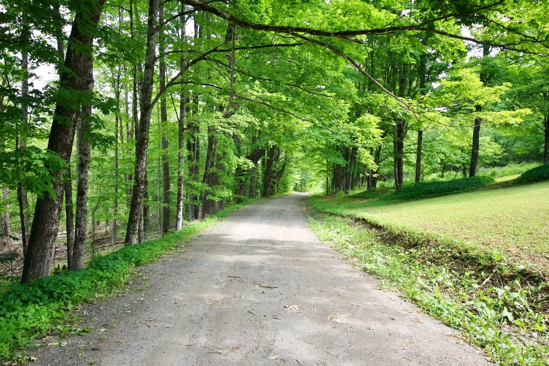 167 Cowslip Hill Road Sharon VT 05065