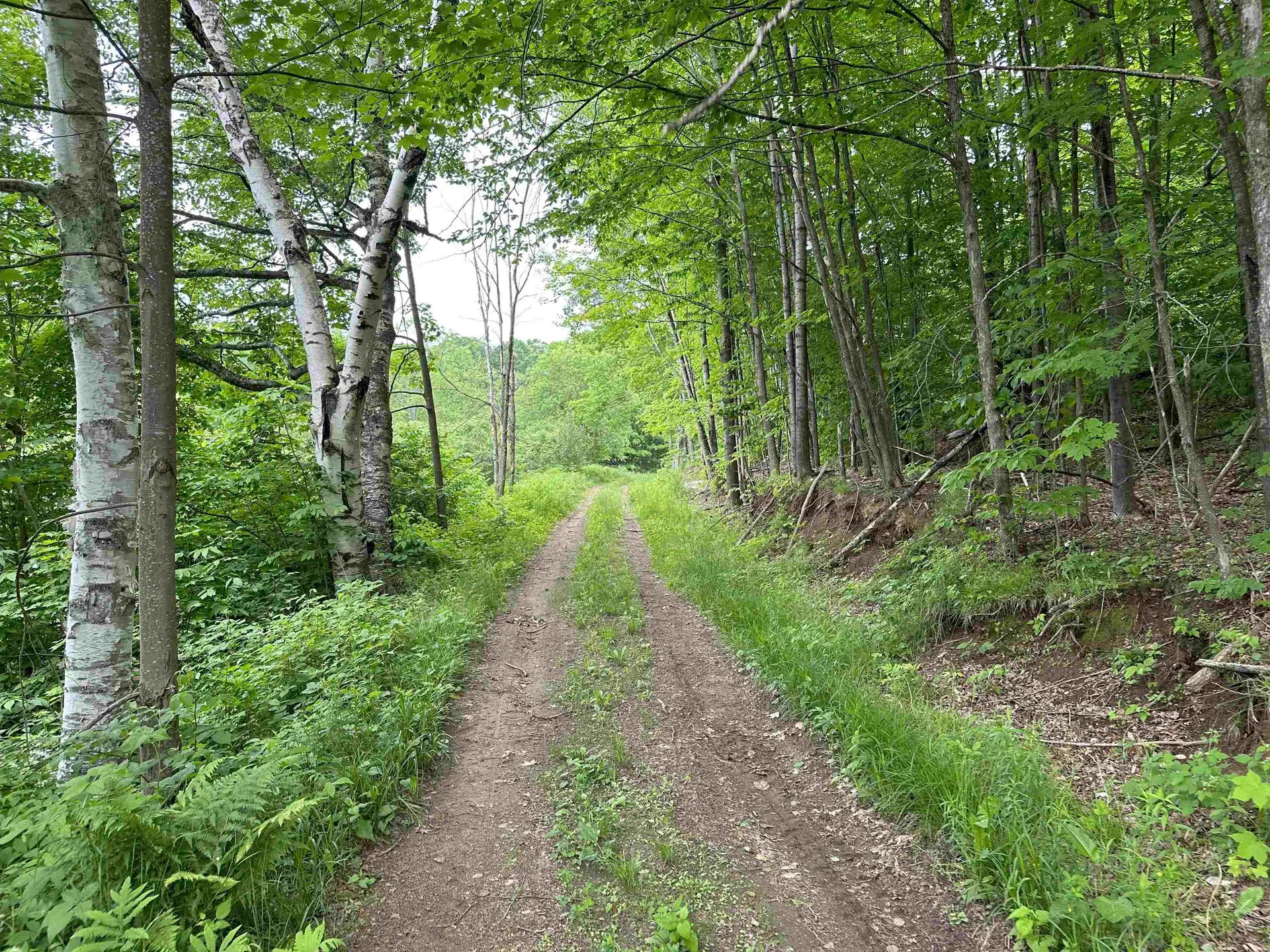 167 Cowslip Hill Road Sharon VT 05065