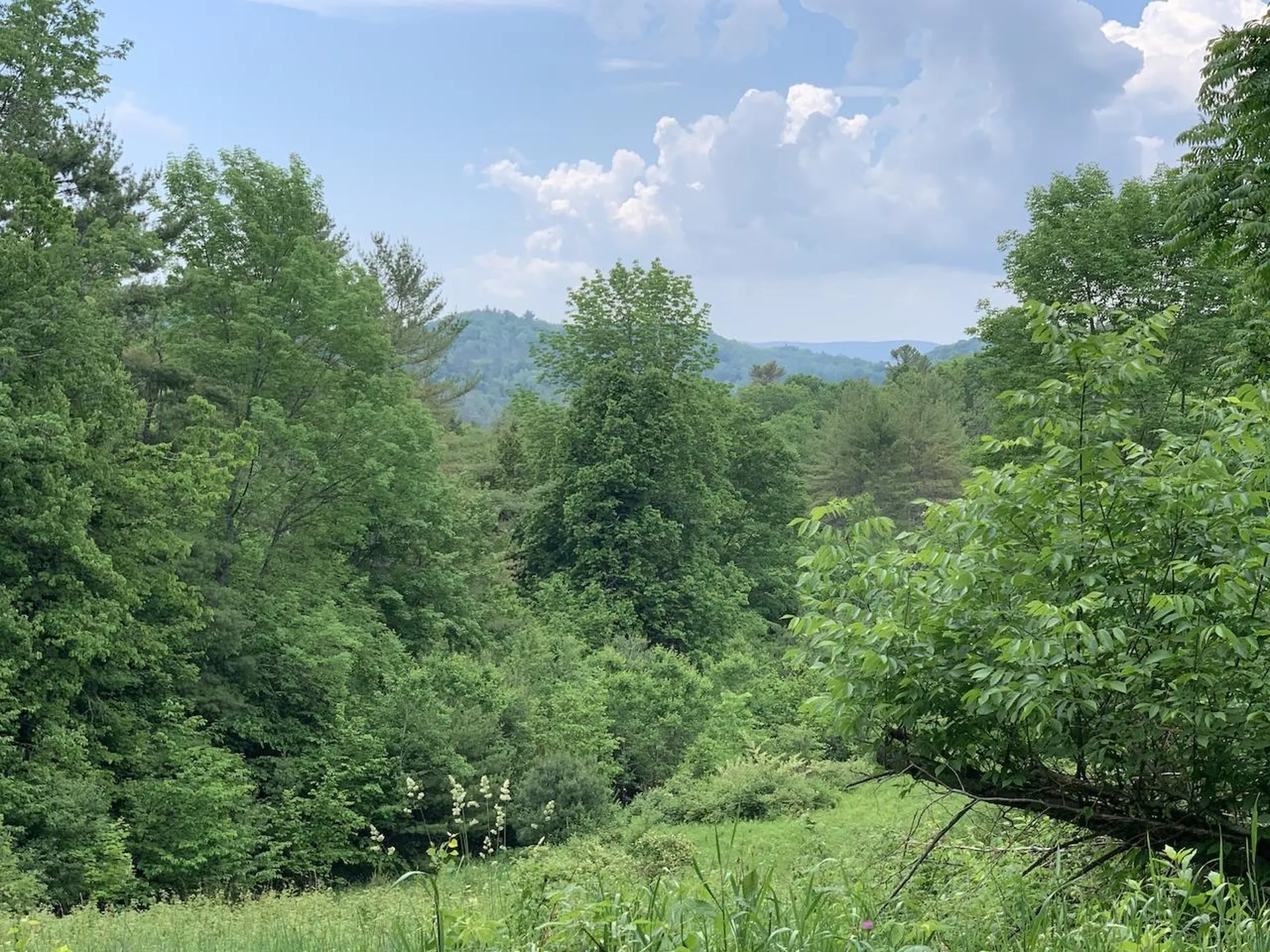 167 Cowslip Hill Road Sharon VT 05065