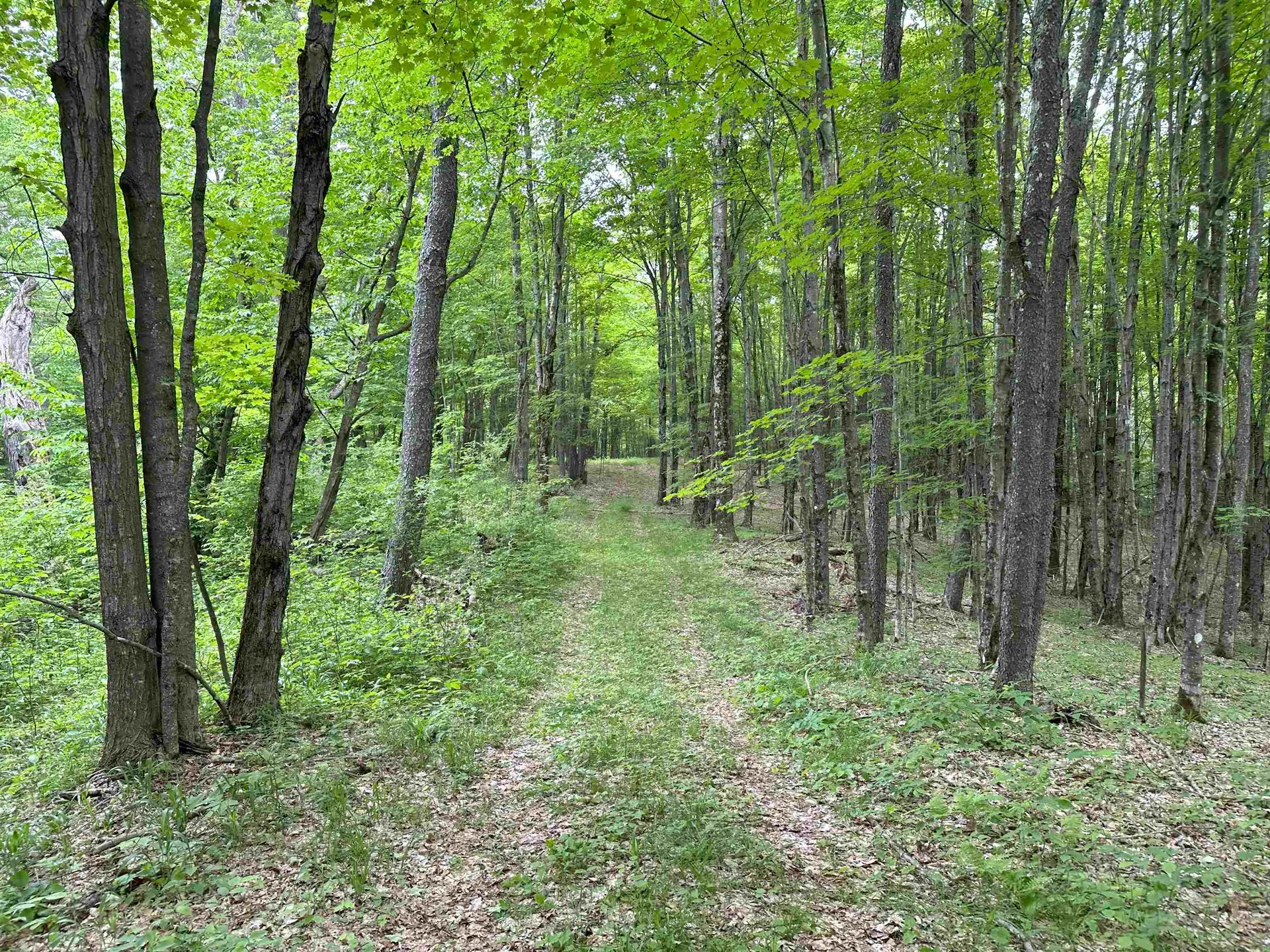 167 Cowslip Hill Road Sharon VT 05065