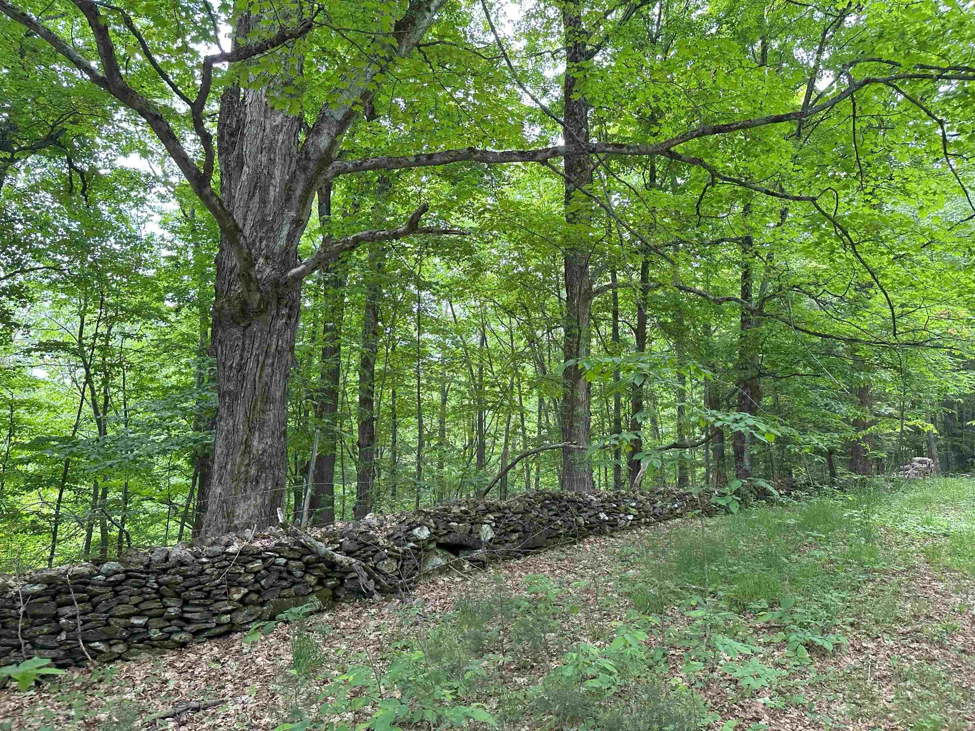167 Cowslip Hill Road Sharon VT 05065