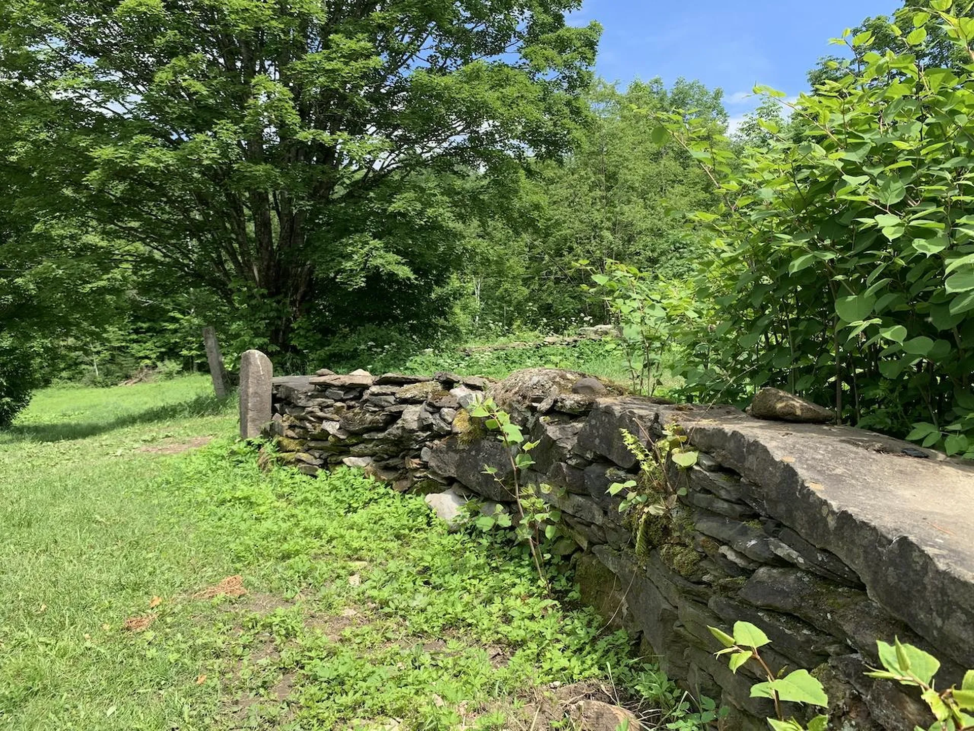 167 Cowslip Hill Road Sharon VT 05065