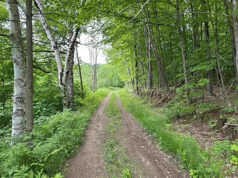 167 Cowslip Hill Road Sharon VT 05065