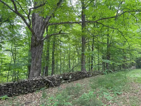 167 Cowslip Hill Road Sharon VT 05065