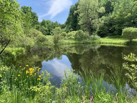 167 Cowslip Hill Road Sharon VT 05065