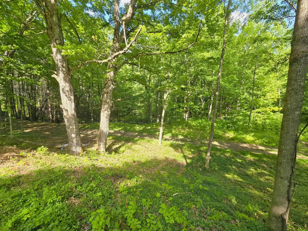 320 Green Mountain Camp Road Dummerston VT 05301