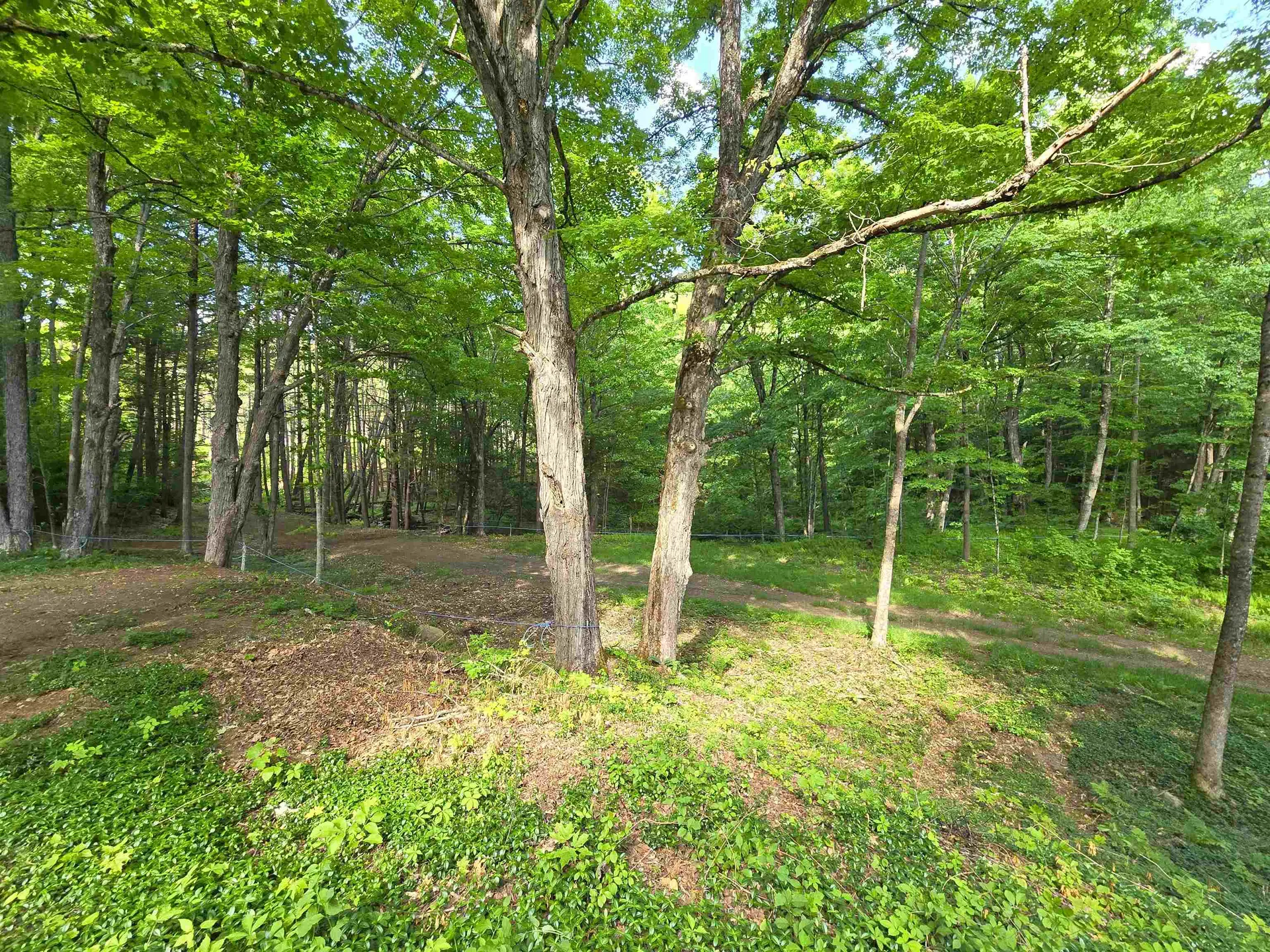 320 Green Mountain Camp Road Dummerston VT 05301