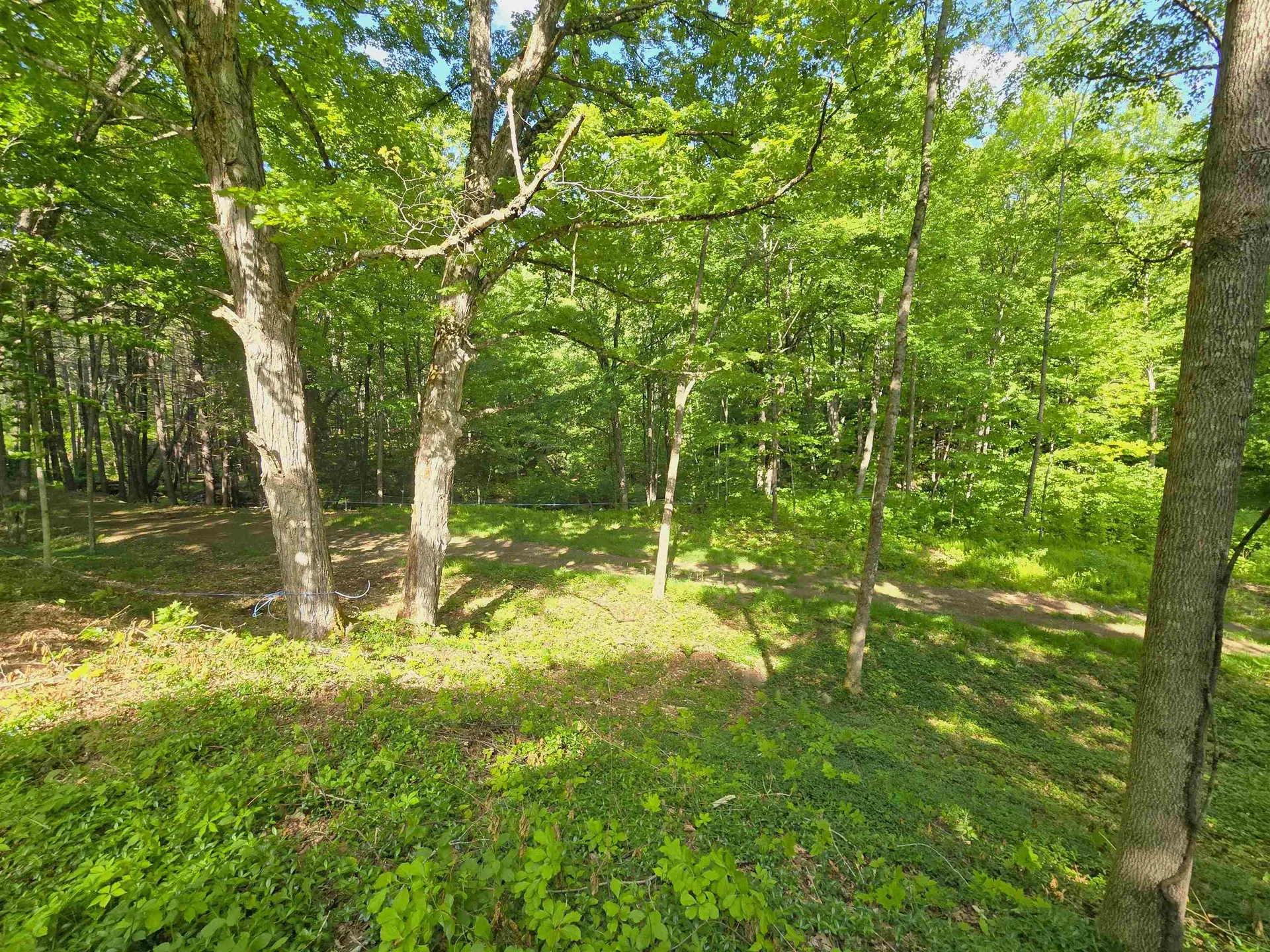 320 Green Mountain Camp Road Dummerston VT 05301