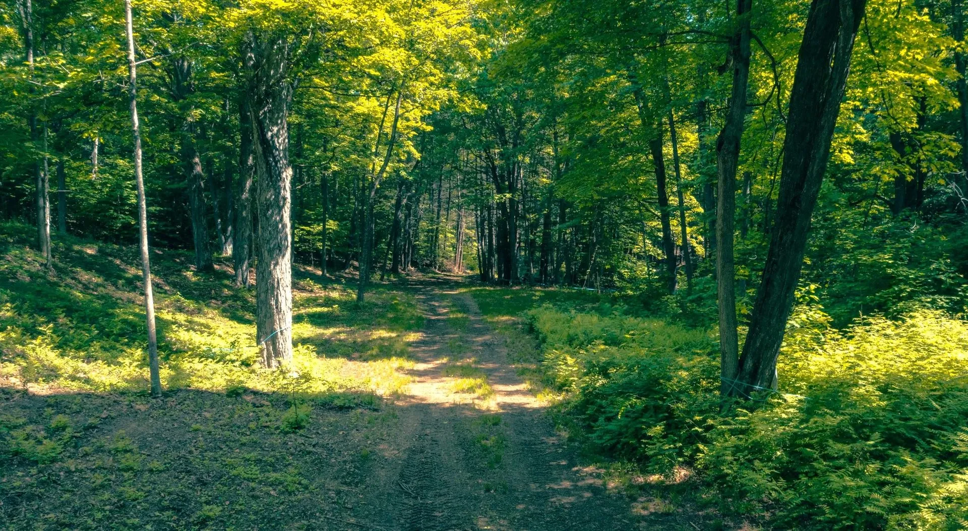 320 Green Mountain Camp Road Dummerston VT 05301