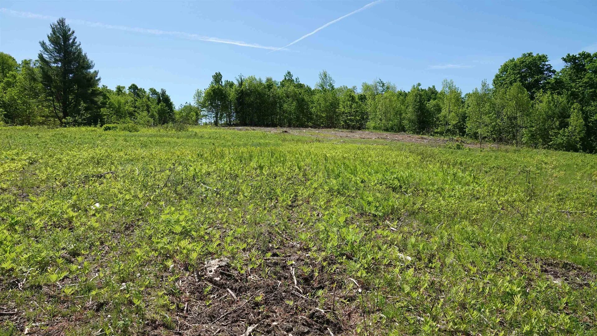 1425 Gonyeau Road Plainfield VT 05667