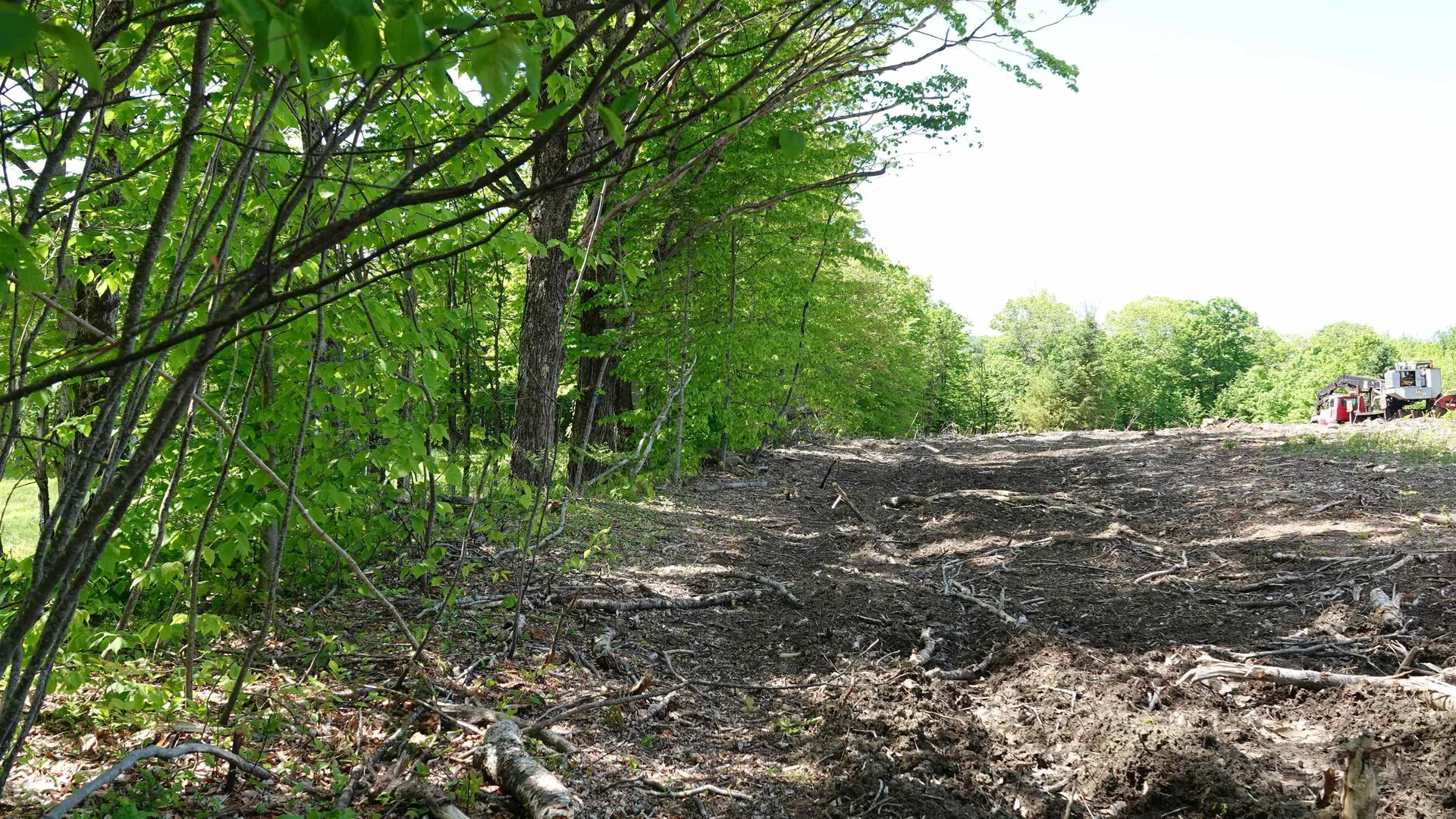 1425 Gonyeau Road Plainfield VT 05667