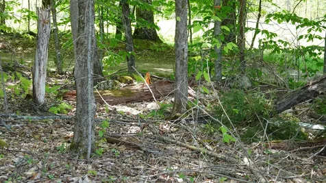 1425 Gonyeau Road Plainfield VT 05667