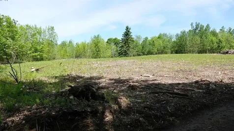 1425 Gonyeau Road Plainfield VT 05667