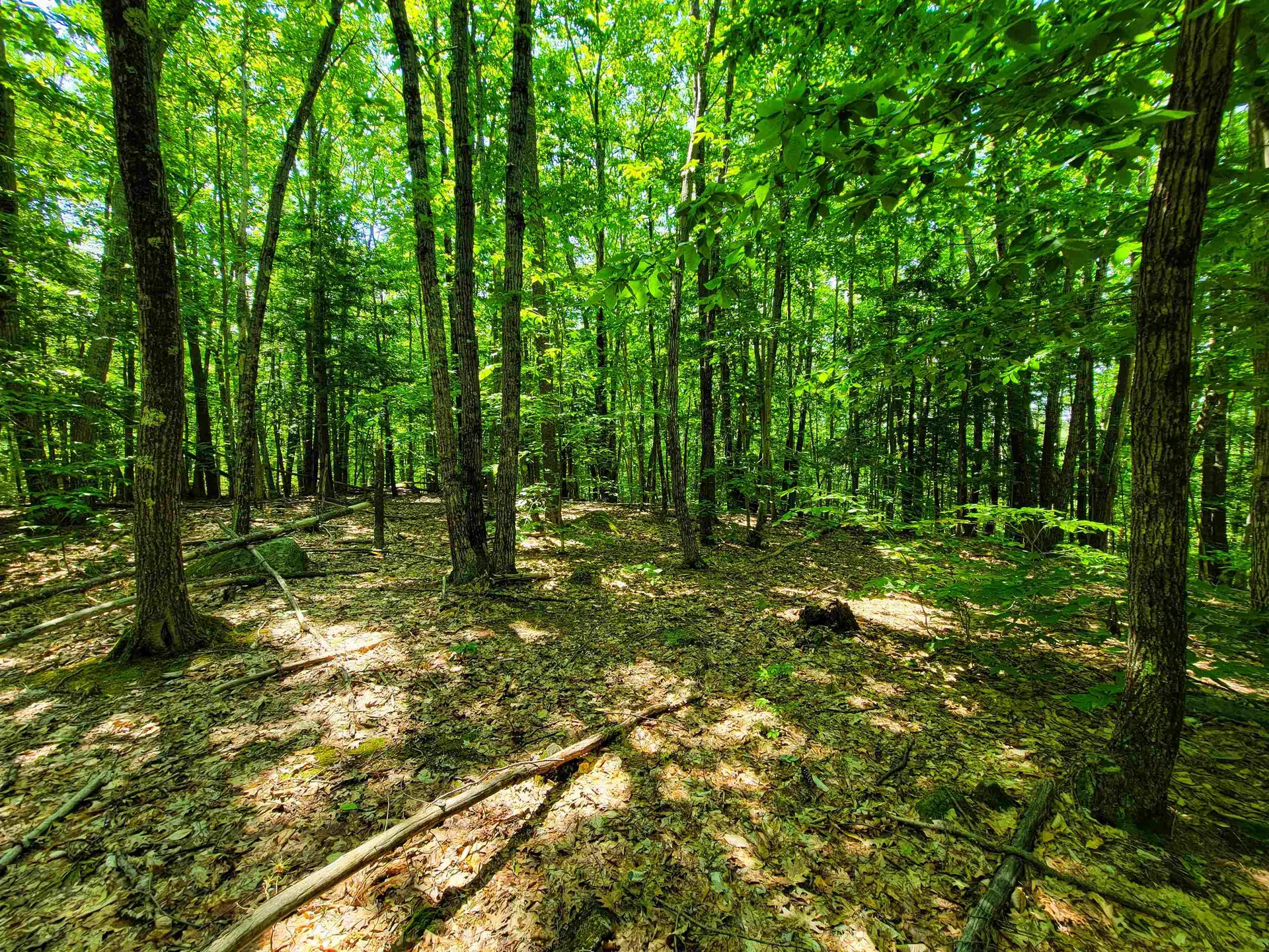 1000 New Boston Road Francestown NH 03043