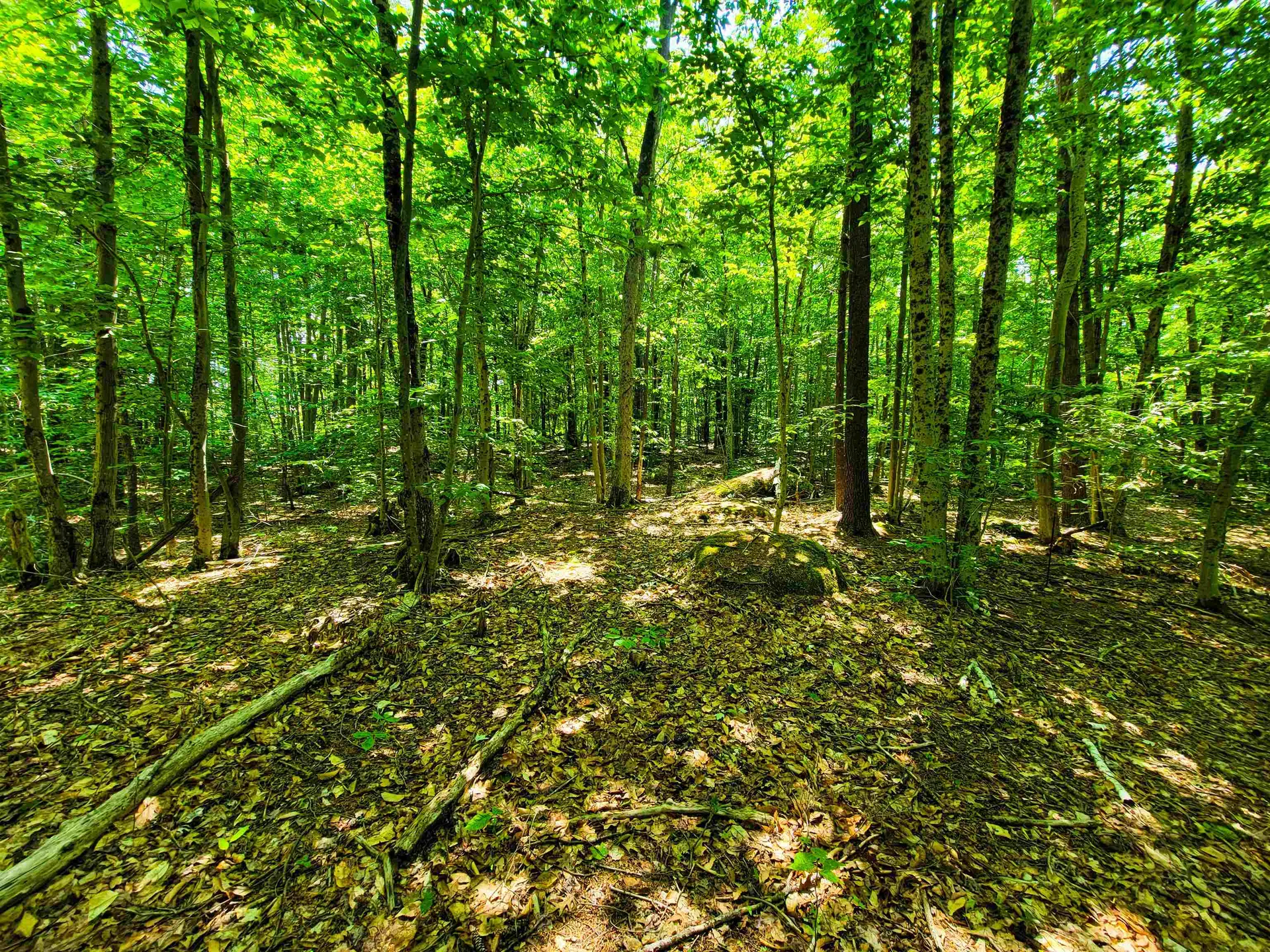 1000 New Boston Road Francestown NH 03043