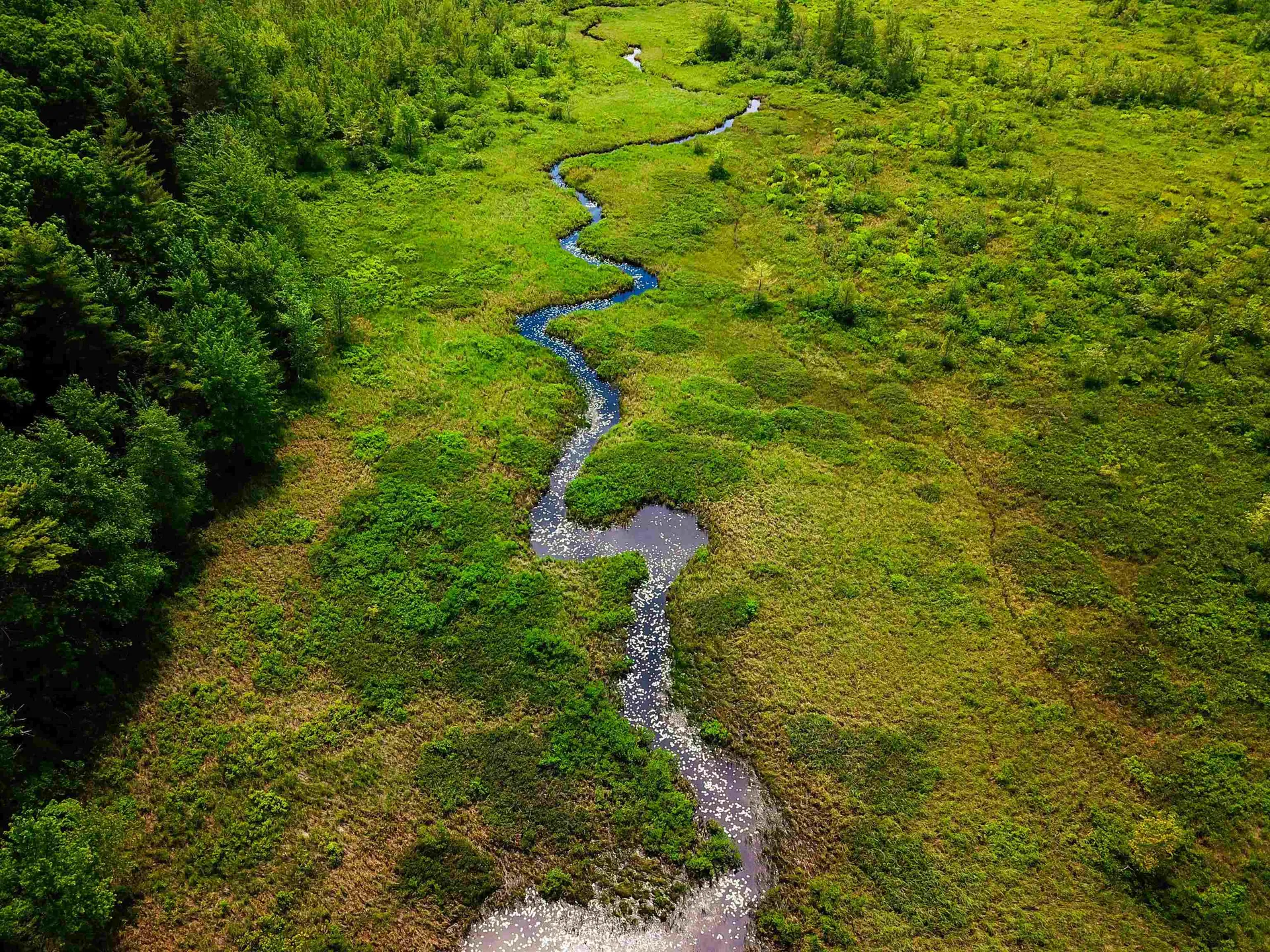 1000 New Boston Road Francestown NH 03043