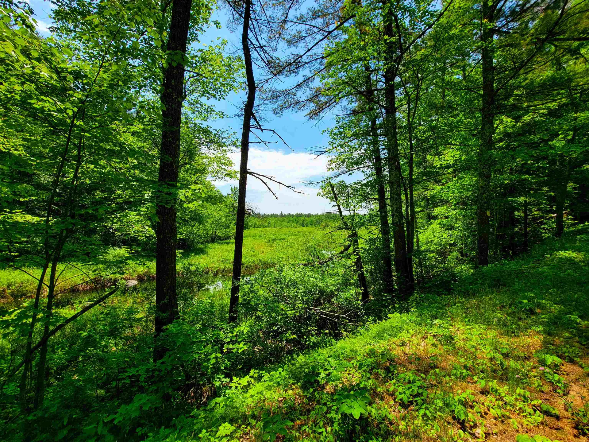 1000 New Boston Road Francestown NH 03043