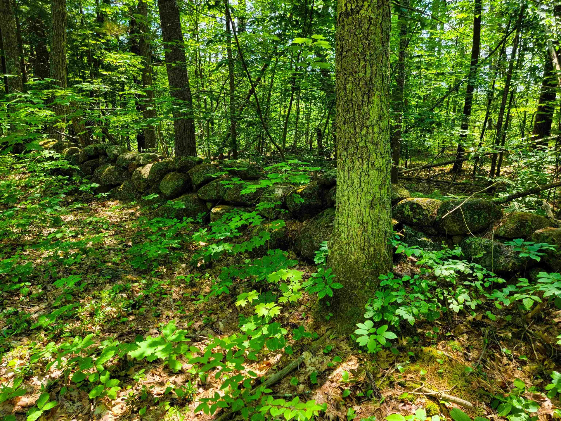 1000 New Boston Road Francestown NH 03043