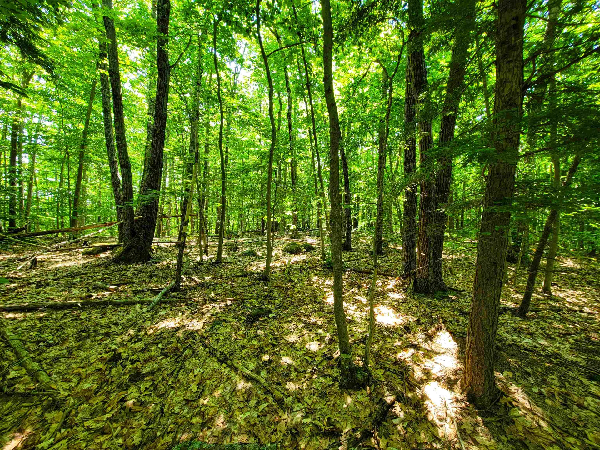 1000 New Boston Road Francestown NH 03043