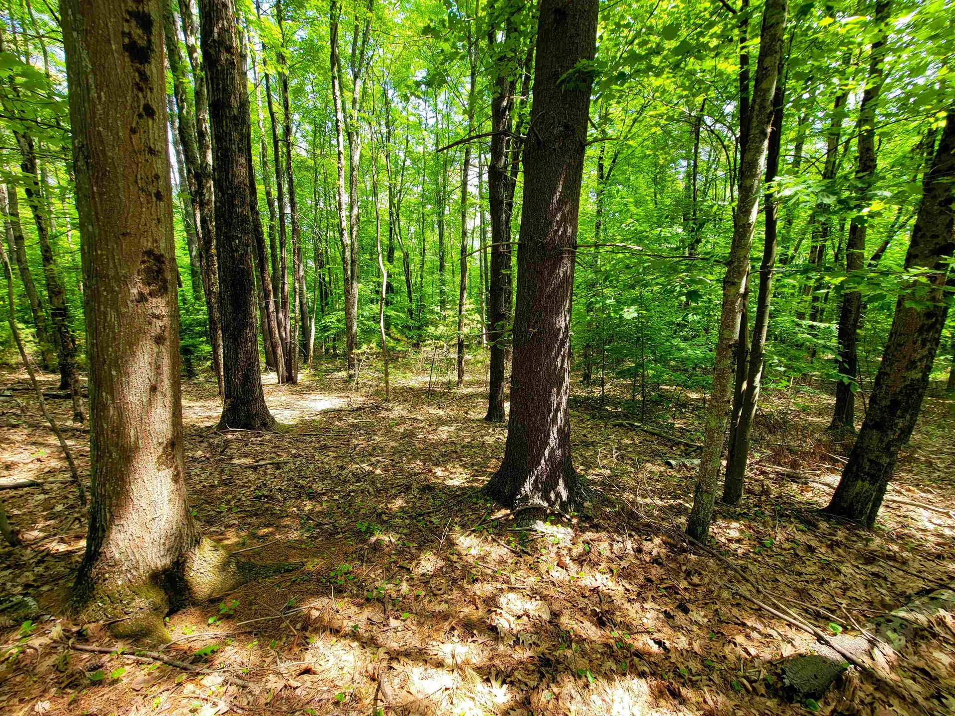 1000 New Boston Road Francestown NH 03043