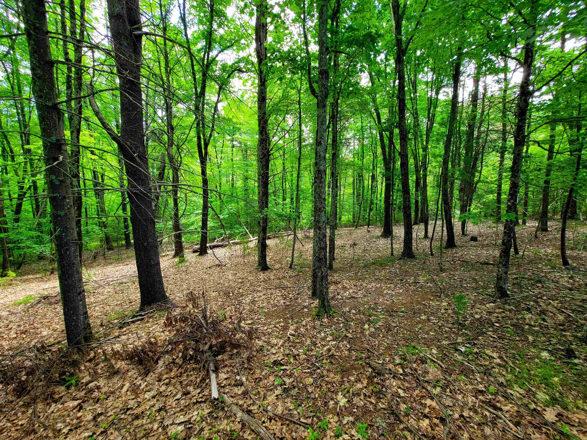 1000 New Boston Road Francestown NH 03043