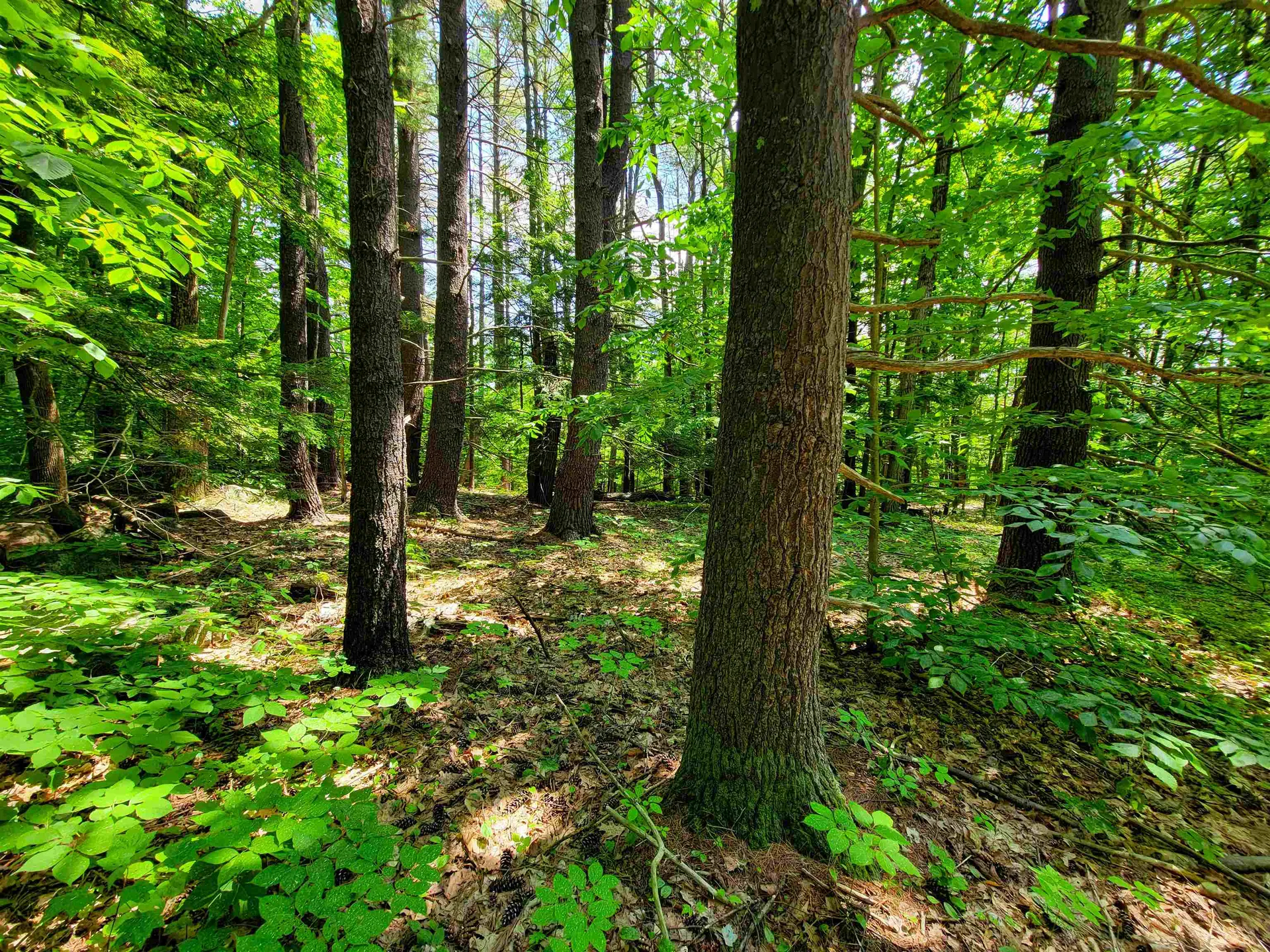 1000 New Boston Road Francestown NH 03043