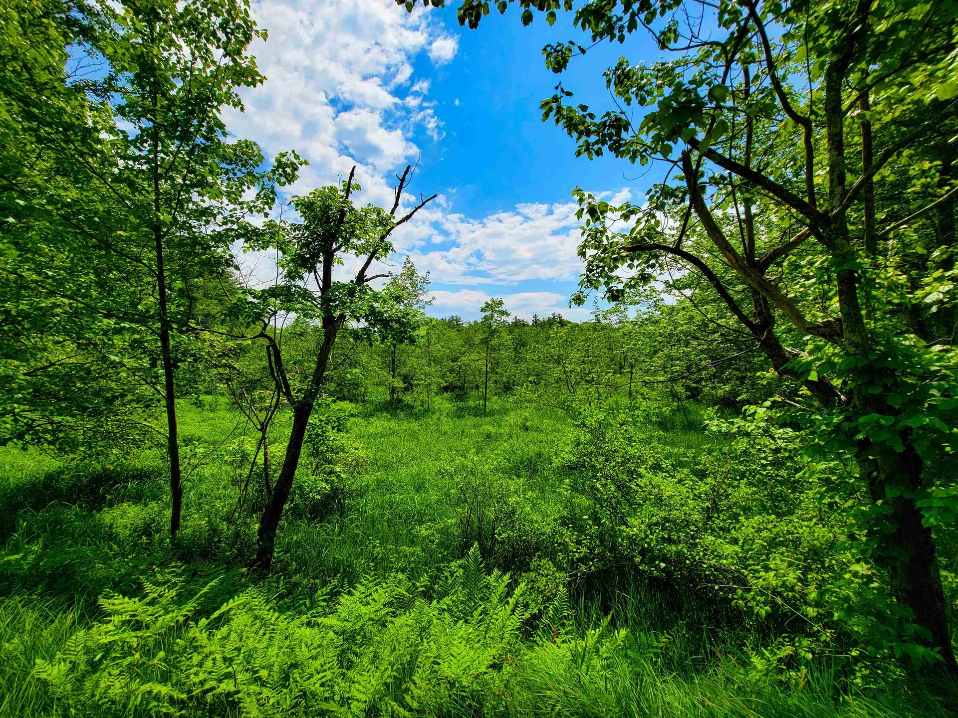 1000 New Boston Road Francestown NH 03043