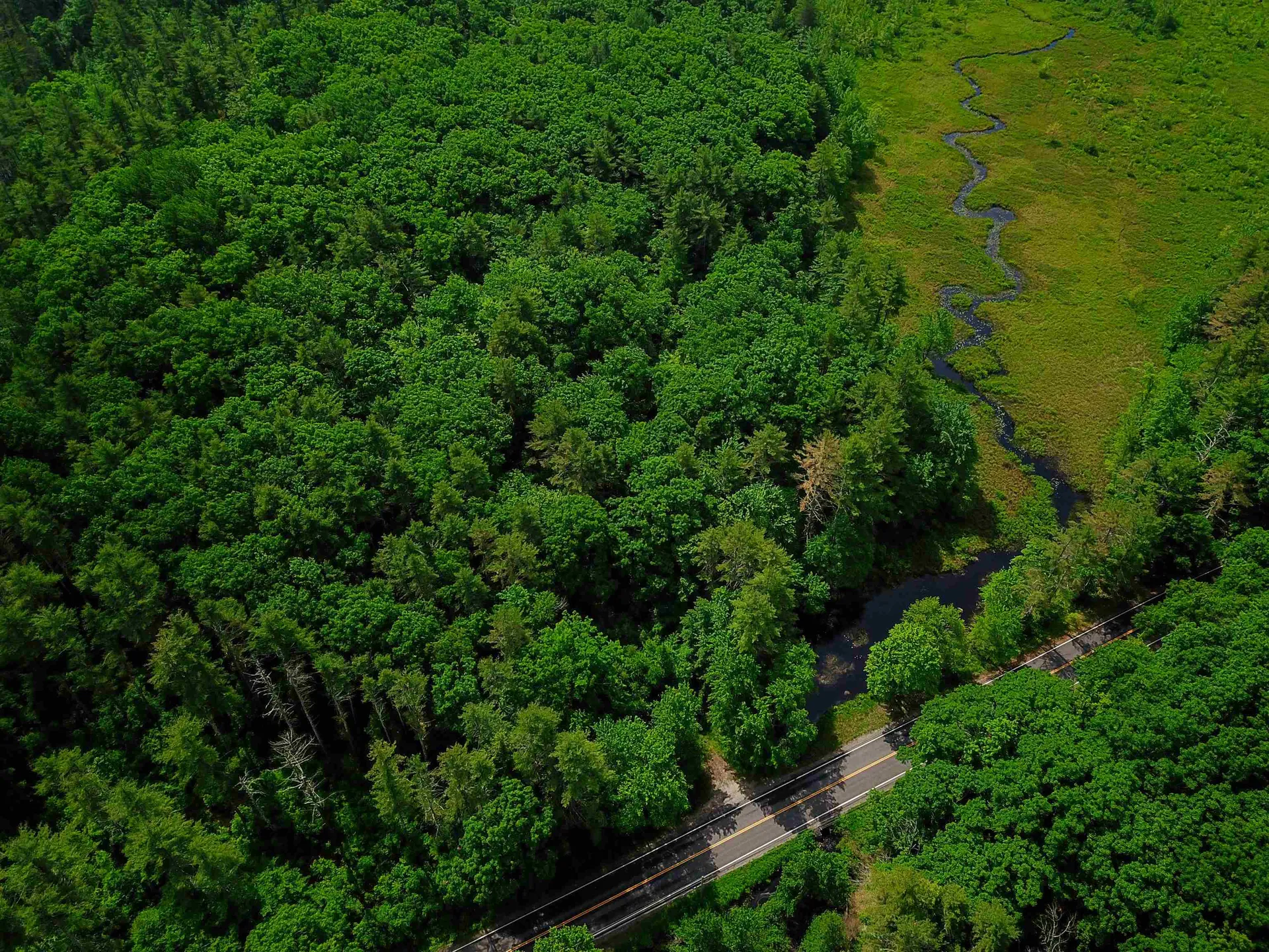 1000 New Boston Road Francestown NH 03043