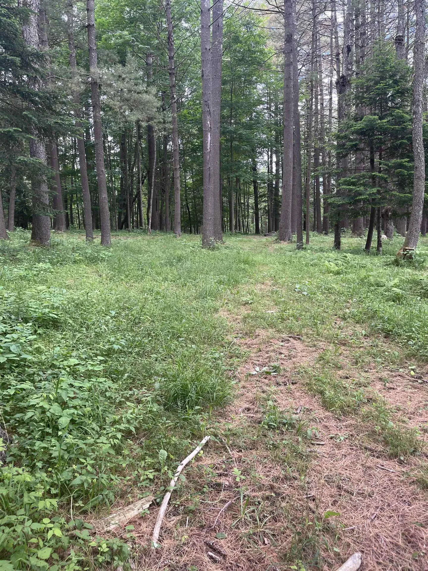 132 Badger Road Goshen NH 03752