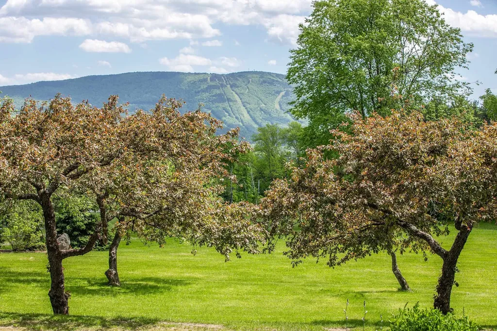 115 Pitchfork Lane Londonderry VT 05148