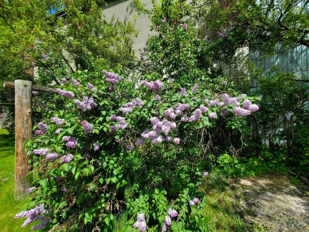 181 Mechanic Street Lebanon NH 03766