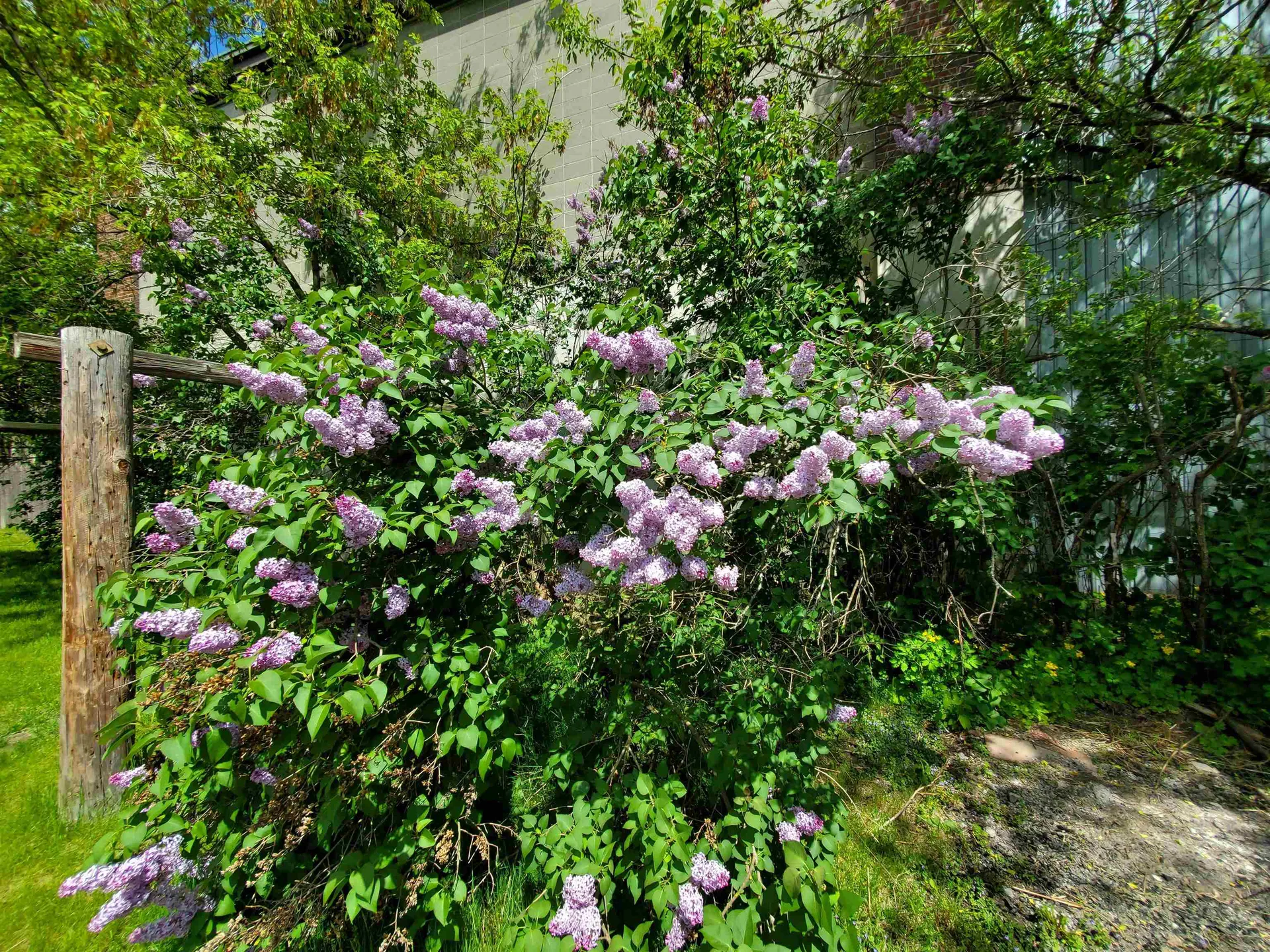 181 Mechanic Street Lebanon NH 03766