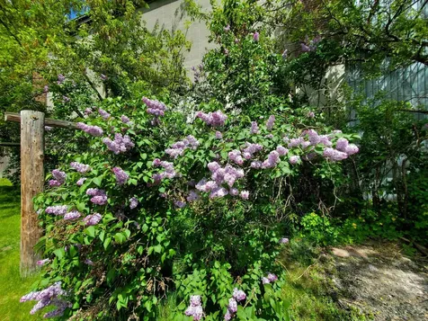 181 Mechanic Street Lebanon NH 03766